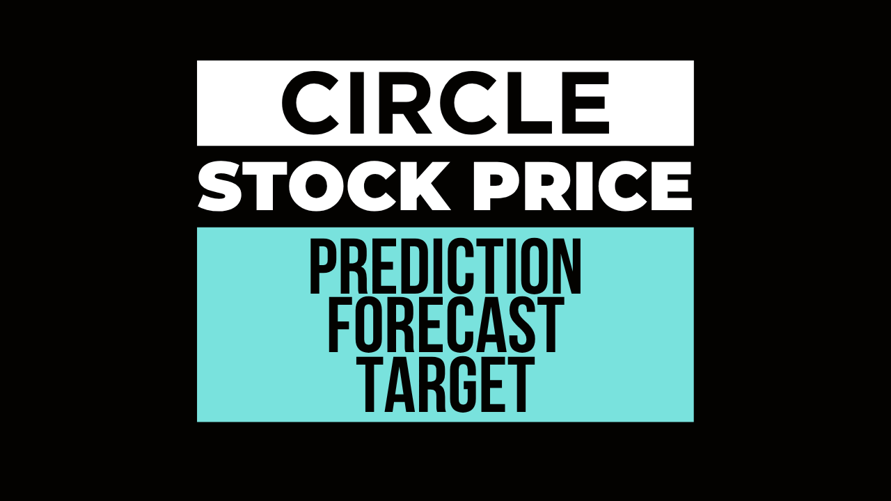 Circle Internet Financial leads the Cryptocurrency Services industry, using its USDC stablecoin to connect traditional finance with blockchain technology.