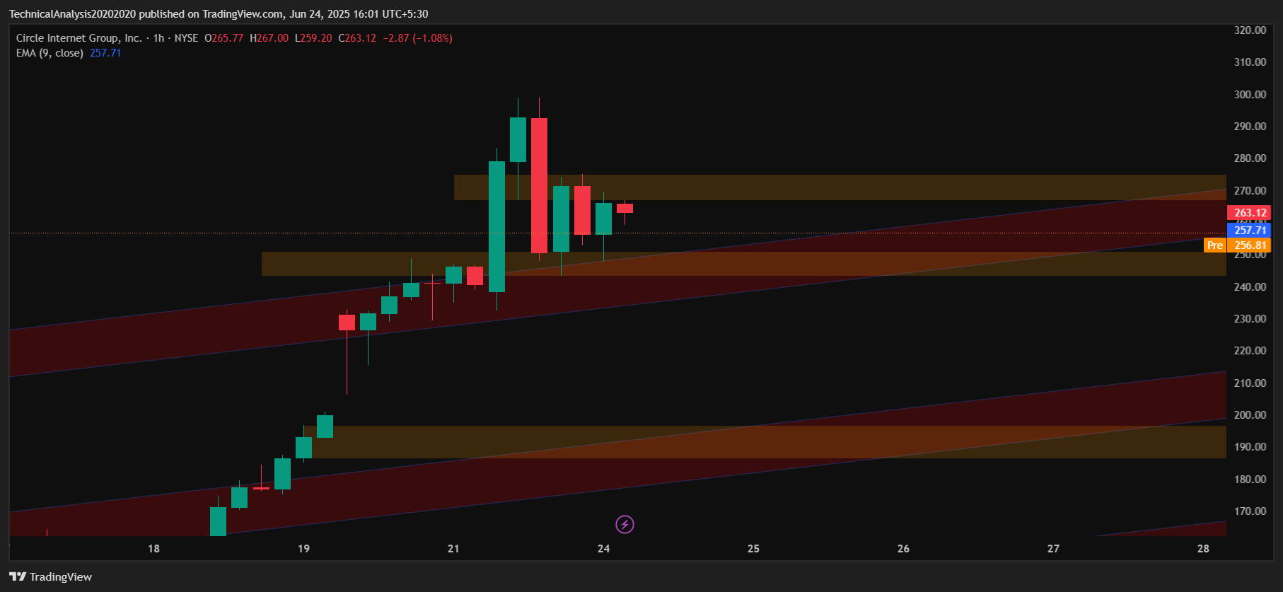 CRCL_2025-06-24_16-01-44 CRCL candlestick chart by TradingView