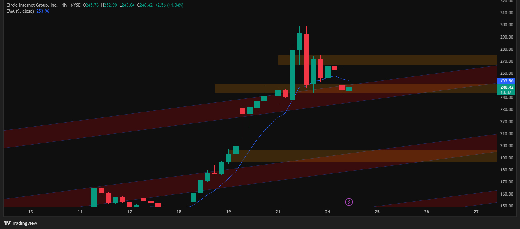 CRCL_2025-06-24_20-46-24 CRCL-candlestick chart by tradingview