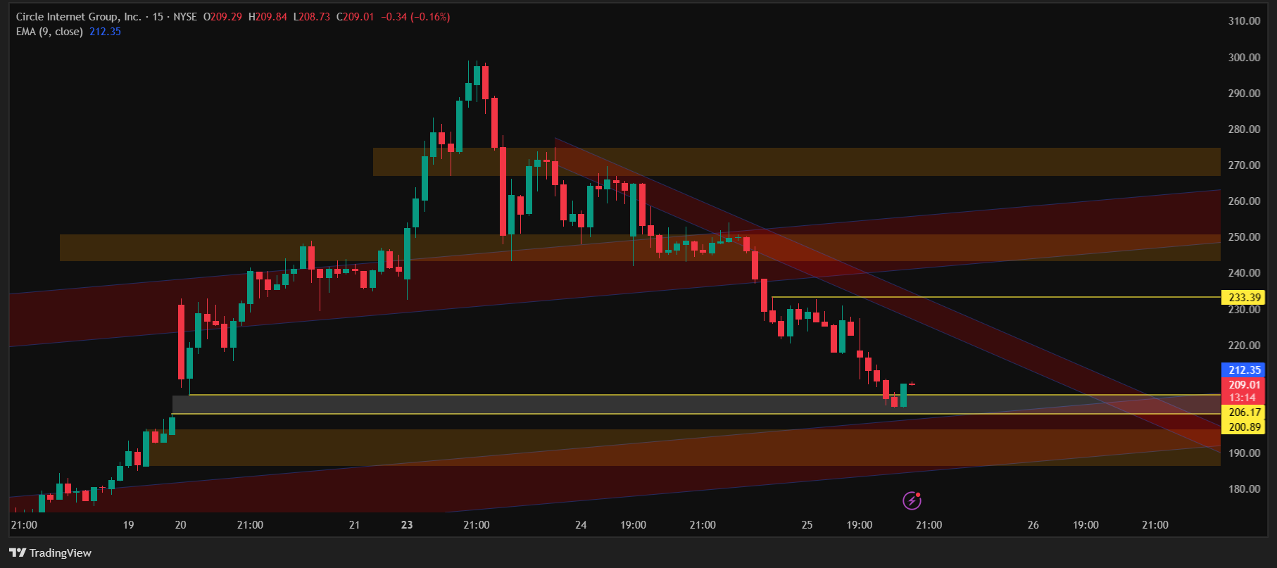 CRCL_2025-06-25_20-31-46 Circle Stock Crashes 9% Intraday to $202.60. Chart by tradingview